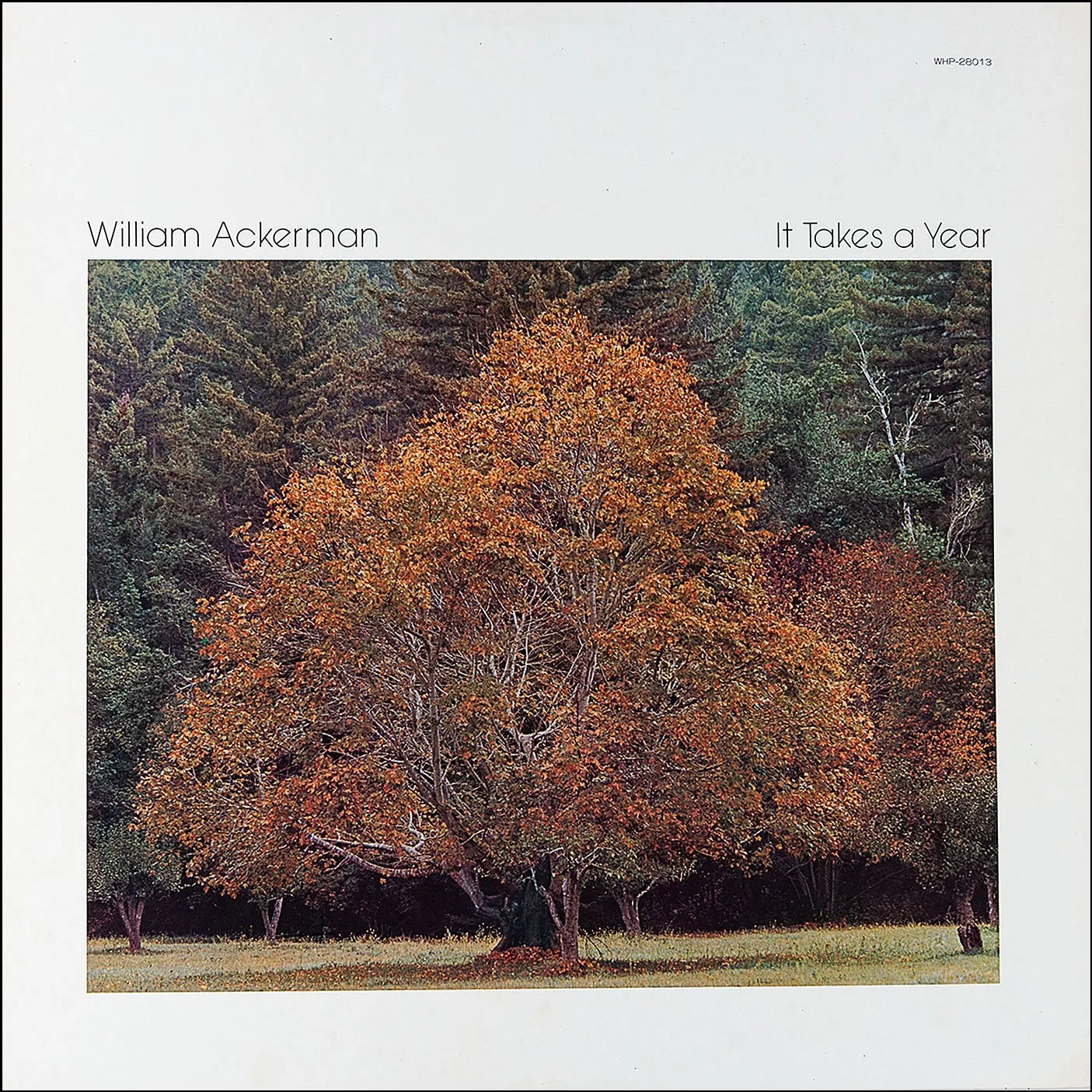 discography — will ackerman